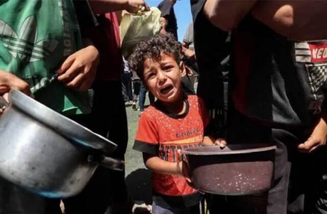 A Organização Mundial da Saúde vai vacinar 40 mil crianças em Gaza
| cinetotal.com.br