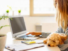 Animais de estimação são as crianças novas: como uma mudança geracional está reescrevendo a cultura de trabalho
| cinetotal.com.br Animais de estimação são as crianças novas: como uma mudança geracional está reescrevendo a cultura de trabalho
| cinetotal.com.br