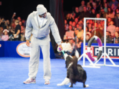 Como Tyrese Maxey passou da madeira nobre para a Exposição Canina Nacional de 2025
| cinetotal.com.br Como Tyrese Maxey passou da madeira nobre para a Exposição Canina Nacional de 2025
| cinetotal.com.br