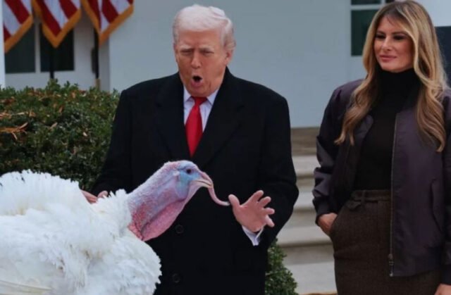 Trump ‘perdoa’ oficialmente dois perus | cinetotal.com.br Trump ‘perdoa’ oficialmente dois perus
| cinetotal.com.br