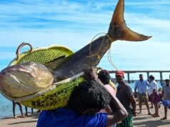 12 pescadores de Rameswaram detidos pela Marinha do Sri Lanka por caça furtiva; traineira apreendida
| cinetotal.com.br 12 pescadores de Rameswaram detidos pela Marinha do Sri Lanka por caça furtiva; traineira apreendida
| cinetotal.com.br