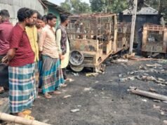 15 auto-riquixás queimados como incêndio em garagem em Sreepur
| cinetotal.com.br 15 auto-riquixás queimados como incêndio em garagem em Sreepur
| cinetotal.com.br