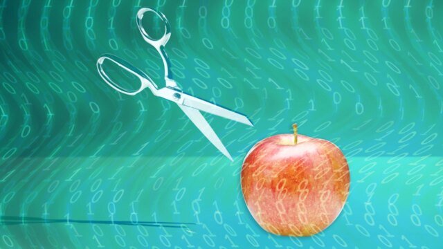 22 estados podem perder fundos do SNAP na próxima semana 22 estados podem perder fundos do SNAP na próxima semana – a menos que entreguem dados privados
| cinetotal.com.br