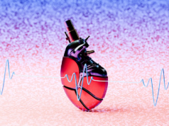 A IA liderada por humanos pode desencadear uma nova era de generosidade?
| cinetotal.com.br A IA liderada por humanos pode desencadear uma nova era de generosidade?
| cinetotal.com.br