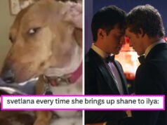 A Internet está perdendo a cabeça por causa da “rivalidade acalorada”, e aqui estão algumas das reações mais engraçadas antes do final – Yahoo
| cinetotal.com.br A Internet está perdendo a cabeça por causa da “rivalidade acalorada”, e aqui estão algumas das reações mais engraçadas antes do final – Yahoo
| cinetotal.com.br