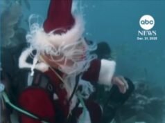 ASSISTIR: Papai Noel mergulhador dá um mergulho de férias em Florida Keys
| cinetotal.com.br ASSISTIR: Papai Noel mergulhador dá um mergulho de férias em Florida Keys
| cinetotal.com.br