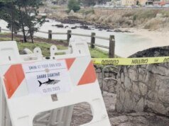Busca suspensa por nadador desaparecido em Pacific Grove’s Lovers Point em possível ataque de tubarão
| cinetotal.com.br Busca suspensa por nadador desaparecido em Pacific Grove's Lovers Point em possível ataque de tubarão
| cinetotal.com.br