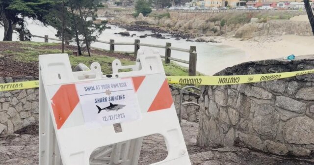 Busca suspensa por nadador desaparecido em Pacific Grove's Lovers Point Busca suspensa por nadador desaparecido em Pacific Grove's Lovers Point em possível ataque de tubarão
| cinetotal.com.br