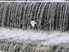 Cerca de mais 1.250 tanques de irrigação em TN atingem o nível máximo após o ciclone Ditwah
| cinetotal.com.br Cerca de mais 1.250 tanques de irrigação em TN atingem o nível máximo após o ciclone Ditwah
| cinetotal.com.br