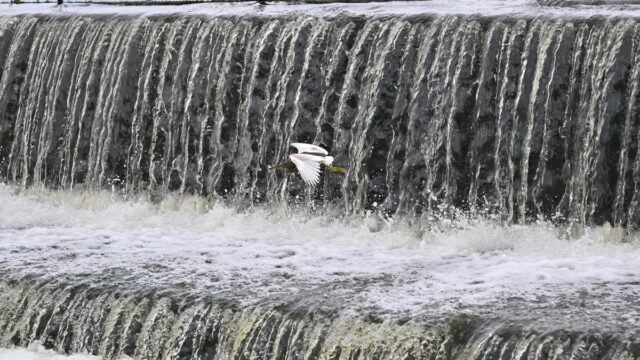 Cerca de mais 1.250 tanques de irrigação em TN atingem Cerca de mais 1.250 tanques de irrigação em TN atingem o nível máximo após o ciclone Ditwah
| cinetotal.com.br