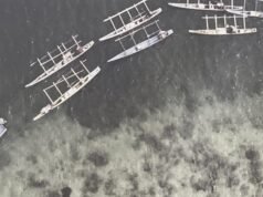 DELAY não se trata de algo que está sendo adiado, mas sim de um símbolo do parentesco do povo Sowek.
| cinetotal.com.br DELAY não se trata de algo que está sendo adiado, mas sim de um símbolo do parentesco do povo Sowek.
| cinetotal.com.br