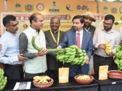 De Nanjangud Banana a Byadagi Chilli: GI Mahotsav 3.0 abre no CFTRI
| cinetotal.com.br De Nanjangud Banana a Byadagi Chilli: GI Mahotsav 3.0 abre no CFTRI
| cinetotal.com.br