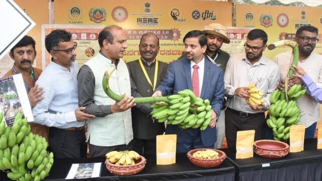 De Nanjangud Banana a Byadagi Chilli: GI Mahotsav 3.0 abre no CFTRI
| cinetotal.com.br