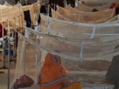 Dengue ceifa mais 2 vidas e 565 hospitalizados em 24 horas
| cinetotal.com.br Dengue ceifa mais 2 vidas e 565 hospitalizados em 24 horas
| cinetotal.com.br