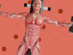 Esta empresa está desenvolvendo terapias genéticas para crescimento muscular, disfunção erétil e “longevidade radical”
| cinetotal.com.br Esta empresa está desenvolvendo terapias genéticas para crescimento muscular, disfunção erétil e “longevidade radical”
| cinetotal.com.br