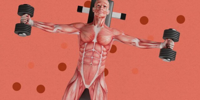 Esta empresa está desenvolvendo terapias genéticas para crescimento muscular, disfunção Esta empresa está desenvolvendo terapias genéticas para crescimento muscular, disfunção erétil e “longevidade radical”
| cinetotal.com.br