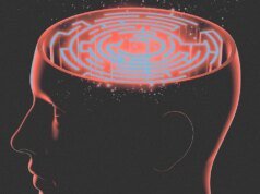 Eu previ corretamente o ChatGPT. Aqui estão minhas 6 previsões de IA para 2026
| cinetotal.com.br Eu previ corretamente o ChatGPT. Aqui estão minhas 6 previsões de IA para 2026
| cinetotal.com.br