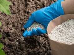 Governo aprova aquisição de 80 mil toneladas métricas de fertilizantes
| cinetotal.com.br Governo aprova aquisição de 80 mil toneladas métricas de fertilizantes
| cinetotal.com.br