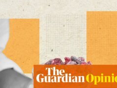 Hora da crise: frutas e vegetais liofilizados são realmente saudáveis para comer ou apenas batatas fritas em uma forma diferente? | Antiviral
| cinetotal.com.br Hora da crise: frutas e vegetais liofilizados são realmente saudáveis para comer ou apenas batatas fritas em uma forma diferente? | Antiviral
| cinetotal.com.br