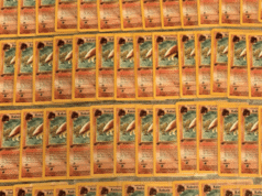 ‘Kabuto King’ busca dominar o mercado de cartas Pokémon comuns
| cinetotal.com.br 'Kabuto King' busca dominar o mercado de cartas Pokémon comuns
| cinetotal.com.br