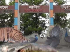 Leão escapa de jaula no Zoológico de Mirpur
| cinetotal.com.br Leão escapa de jaula no Zoológico de Mirpur
| cinetotal.com.br