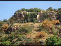 MONTANHA ARAVALLI EM PERIGO
| cinetotal.com.br MONTANHA ARAVALLI EM PERIGO
| cinetotal.com.br