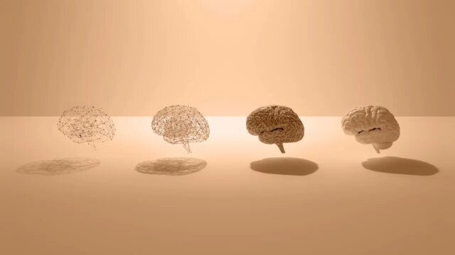 Nosso cérebro atinge o pico aos 30 anos, diz pesquisa
| cinetotal.com.br