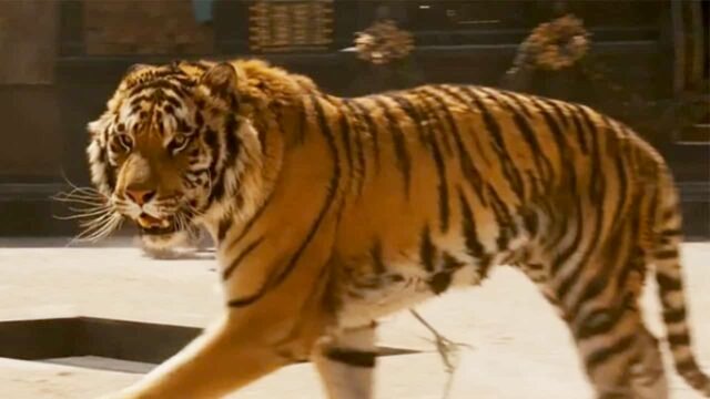 O filme favorito de todo homem ainda é o mesmo e está pronto para uma transmissão ultra-viril
| cinetotal.com.br