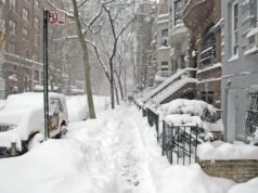 O maravilhoso mundo dos fatos completamente aleatórios — Edição 101
| cinetotal.com.br O maravilhoso mundo dos fatos completamente aleatórios — Edição 101
| cinetotal.com.br