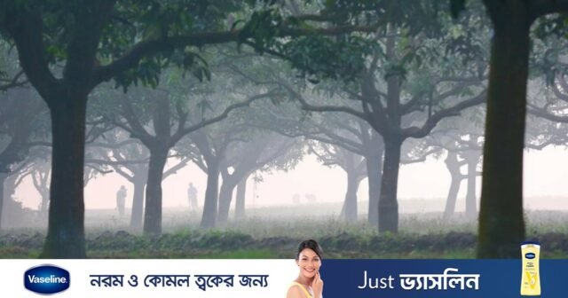 Onda de frio atinge Panchagarh
| cinetotal.com.br