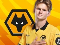 Os lobos têm sido ‘embaraçosos’, mas o efeito Edwards está chegando, diz Wolfe
| cinetotal.com.br Os lobos têm sido ‘embaraçosos’, mas o efeito Edwards está chegando, diz Wolfe
| cinetotal.com.br