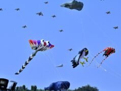 Pipas, balões de ar quente e drones encherão os céus e a periferia de Hyderabad para Sankranti 2025; lagos rejuvenescidos sediarão festival
| cinetotal.com.br Pipas, balões de ar quente e drones encherão os céus e a periferia de Hyderabad para Sankranti 2025; lagos rejuvenescidos sediarão festival
| cinetotal.com.br