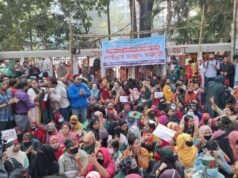 Professores primários anunciam fechamento de escolas em todo o país devido a demandas não atendidas
| cinetotal.com.br Professores primários anunciam fechamento de escolas em todo o país devido a demandas não atendidas
| cinetotal.com.br