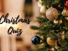 Qual país começou a decoração de árvores de Natal?
| cinetotal.com.br Qual país começou a decoração de árvores de Natal?
| cinetotal.com.br