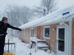 Quando neva, pego meu ancinho no telhado. É assim que evito que a água entre na minha casa
| cinetotal.com.br Quando neva, pego meu ancinho no telhado. É assim que evito que a água entre na minha casa
| cinetotal.com.br