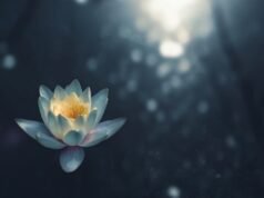 Quando parei de culpar Mercúrio retrógrado e comecei a assumir responsabilidades
| cinetotal.com.br Quando parei de culpar Mercúrio retrógrado e comecei a assumir responsabilidades
| cinetotal.com.br