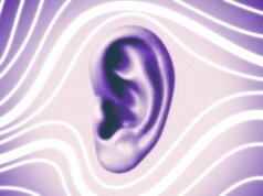 Quanto mais sênior você for, menos feedback receberá (e isso é um problema)
| cinetotal.com.br Quanto mais sênior você for, menos feedback receberá (e isso é um problema)
| cinetotal.com.br