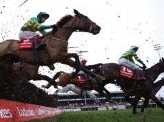 Quem ganha o Rei George? O grande guia de corrida de James Flaherty
| cinetotal.com.br Quem ganha o Rei George? O grande guia de corrida de James Flaherty
| cinetotal.com.br