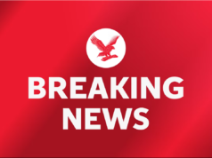 Suspeito e policial estadual morto após relato de ‘atirador ativo’ no Delaware DMV
| cinetotal.com.br Suspeito e policial estadual morto após relato de 'atirador ativo' no Delaware DMV
| cinetotal.com.br