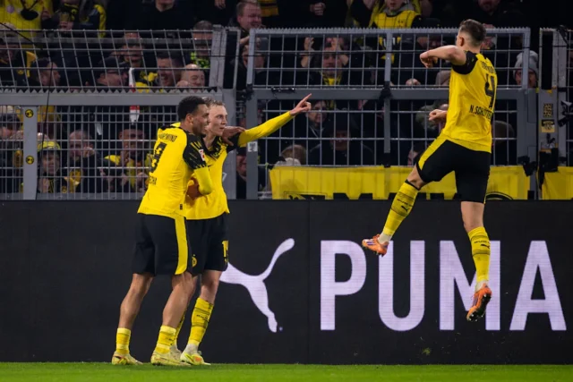 The Daily Bee: Pausa de Inverno
| cinetotal.com.br