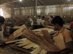 Tribo crescente de eleitores migrantes encontra voz nas pesquisas locais
| cinetotal.com.br Tribo crescente de eleitores migrantes encontra voz nas pesquisas locais
| cinetotal.com.br