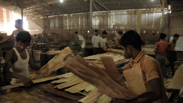 Tribo crescente de eleitores migrantes encontra voz nas pesquisas locais
| cinetotal.com.br