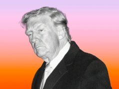 Trump continua investindo milhões de dinheiro do governo em uma indústria essencial (e não são chips de IA)
| cinetotal.com.br Trump continua investindo milhões de dinheiro do governo em uma indústria essencial (e não são chips de IA)
| cinetotal.com.br